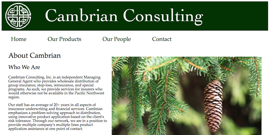 Cambrian Consulting screenshot