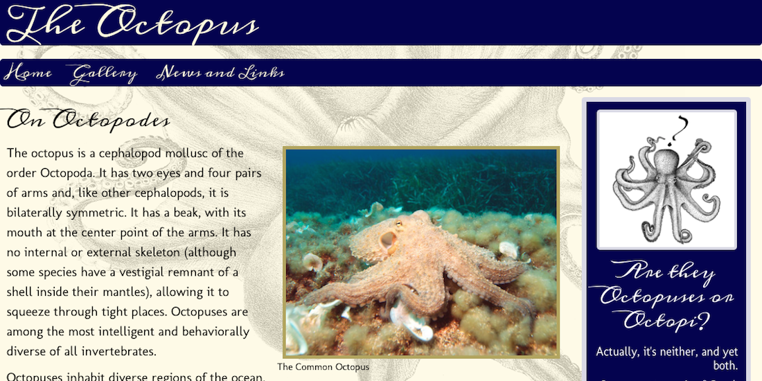 Octopus screenshot